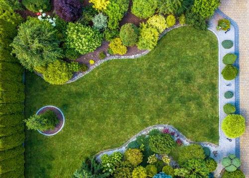 Landscape Design