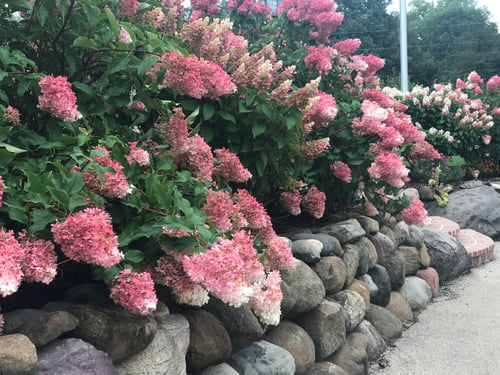 Natural Stone Walls