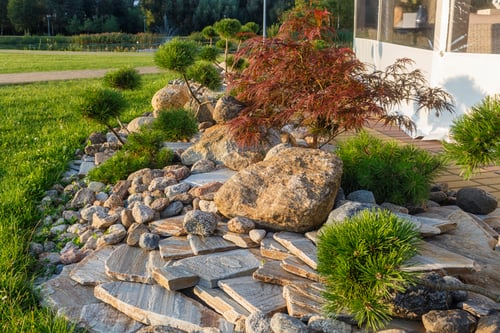 Insights from ARC Landscape LLC