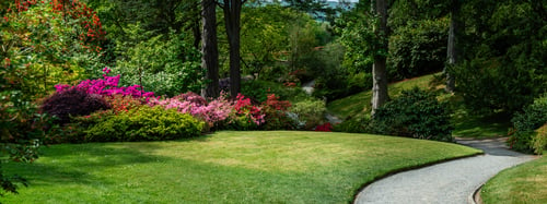 Project gallery — ARC Landscape LLC